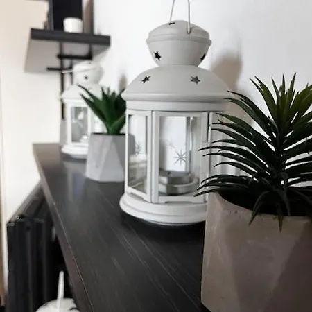 Elysia * Capoliveri (Isola d'Elba)