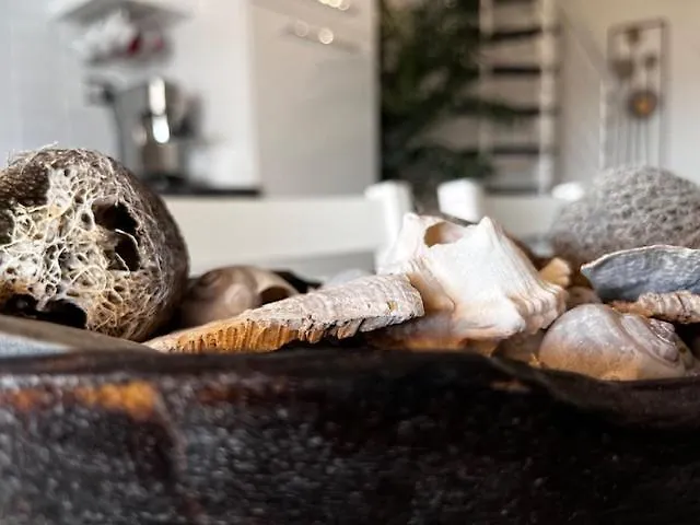 アパート Elysia *